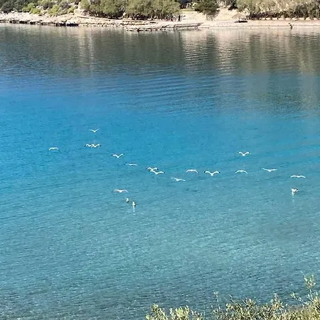 Sound Of The Sea