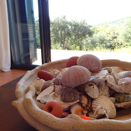 Sound Of The Sea Villa Agios Dimitrios (Evia)